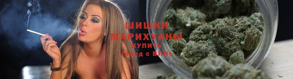 PSILOCYBIN Остров