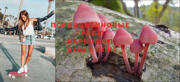 таблы Осинники