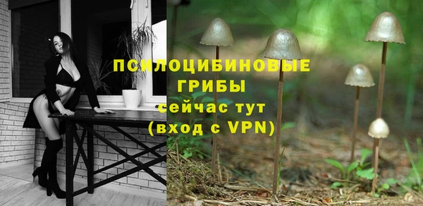 mix Няндома