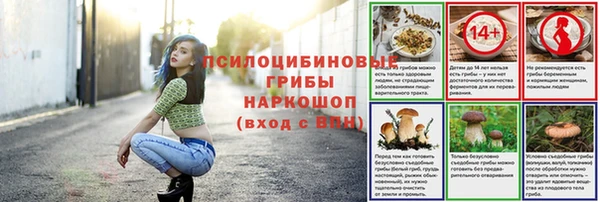 mdpv Осташков