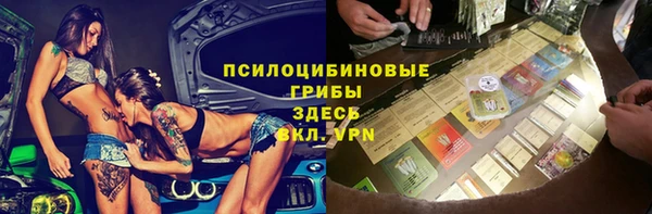 PSILOCYBIN Остров