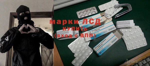 Альфа ПВП Гвардейск