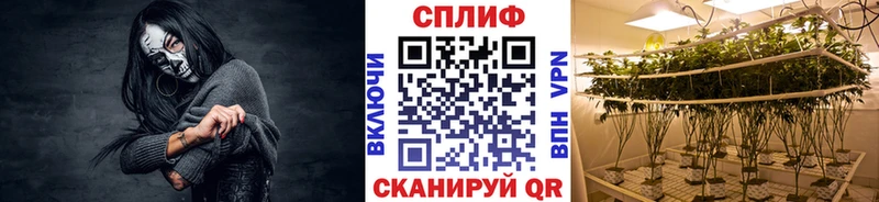 Шишки марихуана THC 21%  Октябрьск 